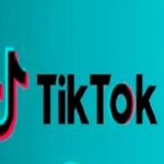 descargar videos de TikTok